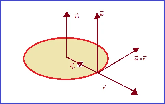 centripetal acceleration vector form