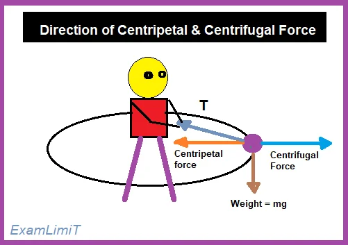 Direction-of-Centripetal-Centrifugal-Force.