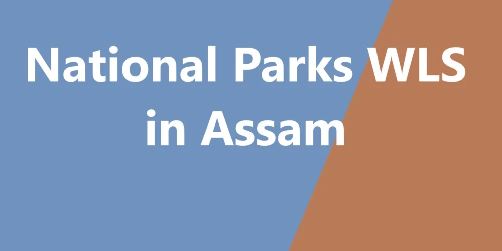 National Parks WLS in Assam