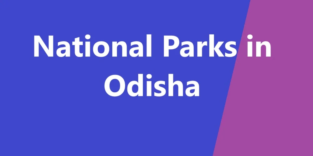 National Parks in Odisha feature