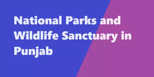 National Parks and Wildlife Sanctuary in Punjab