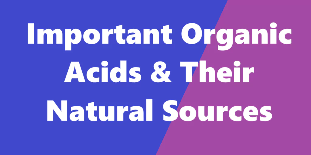 Sour Powerhouses: A Dive into Essential Organic Acids & Where They Come From